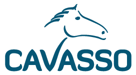 CAVASSO-logo-bleu