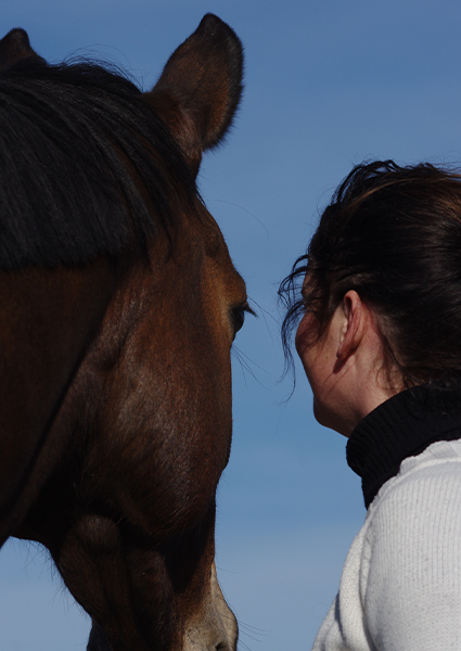 Cavasso, la passion pour le bien-être des chevaux