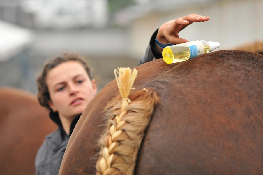 flacon de huile seche cavasso posé sur al croupe d'un cheval de trait