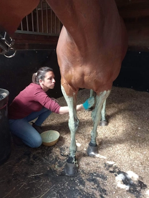 Julie d'Equid'Forme applique un soin de Poudre d'Algues Cavasso sur els jambes d'un cheval