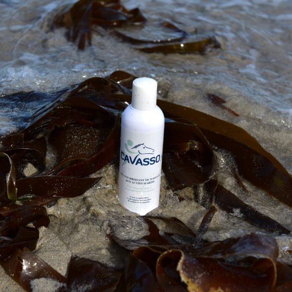 Gel nourrissant de massage aux algues de Cavasso. Produit de la mer.