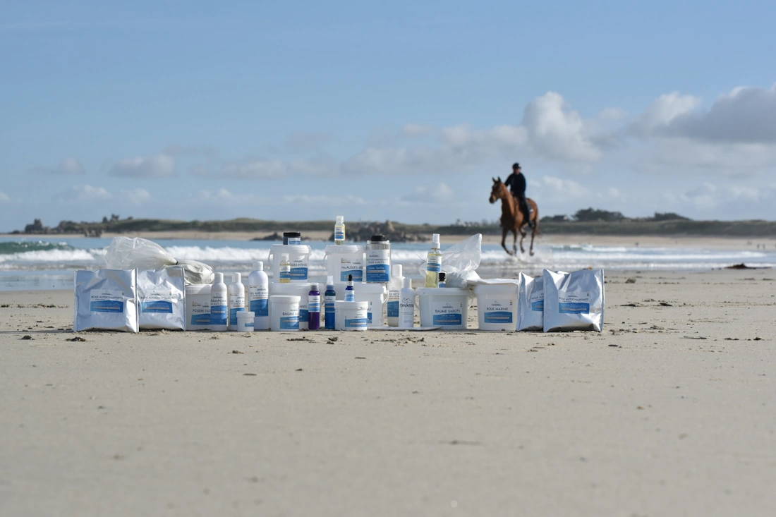 La gamme de soins pour le cheval Cavasso présentée sur une plage avec un cheval au galop en fond