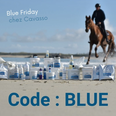 la gamme de soins pour cheval cavasso sur al plage avec un cheval au galop en arrière plan et un texte : code Blue pour non pas le Black Friday mais le Blue Friday